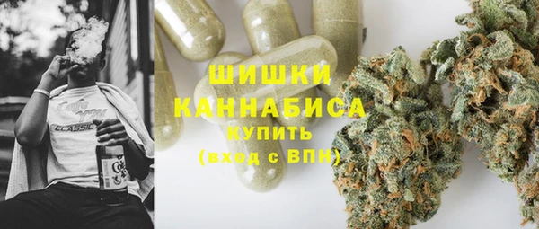 ПСИЛОЦИБИНОВЫЕ ГРИБЫ Белоозёрский