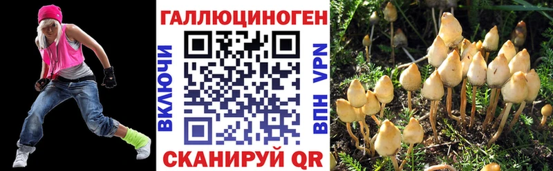 Псилоцибиновые грибы прущие грибы  сколько стоит  Болохово 
